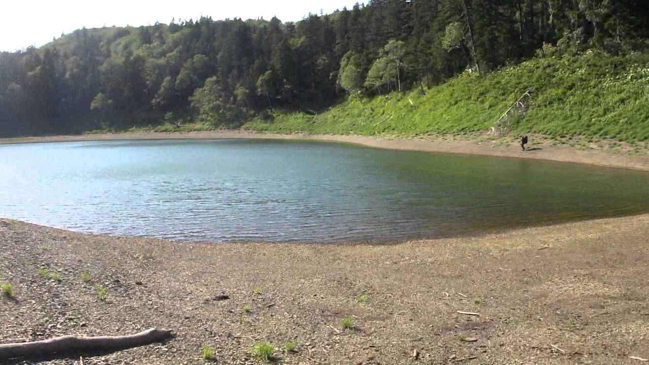 Мальчик ушел под воду, отец пытался спасти его undefined