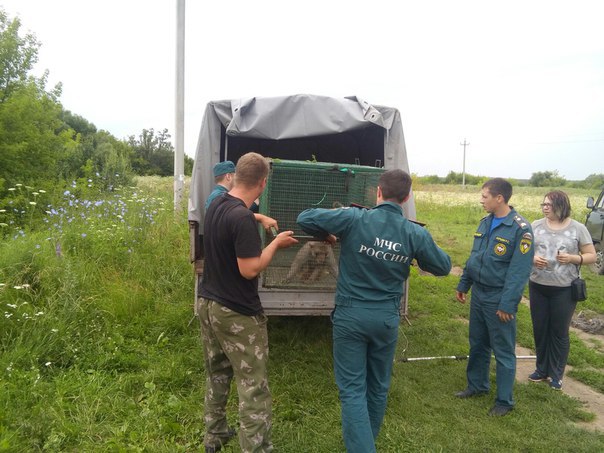 В поисках были задействованы более 70 человек и легкомоторный самолет undefined