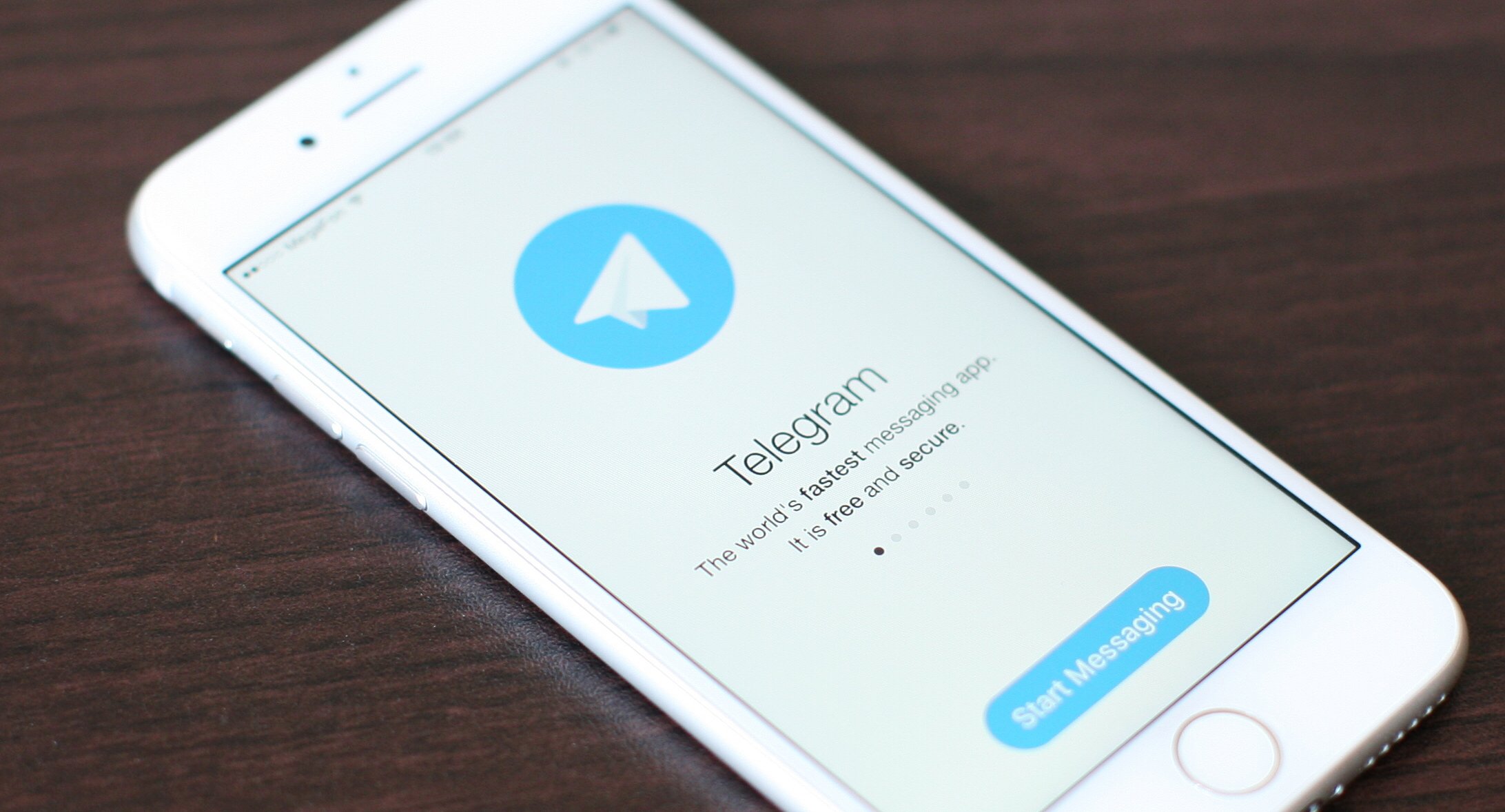 Dailystorm - Кремлевская администрация мониторит Telegram-каналы для Путина