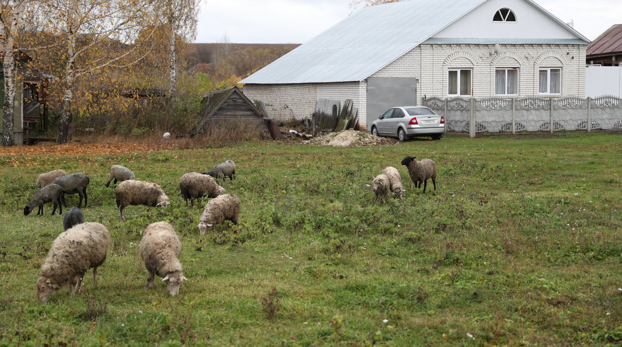 Фото: © Daily Storm/Алексей Голенищев