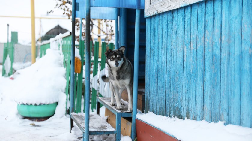 Фото: © Daily Storm/Олег Михальчук