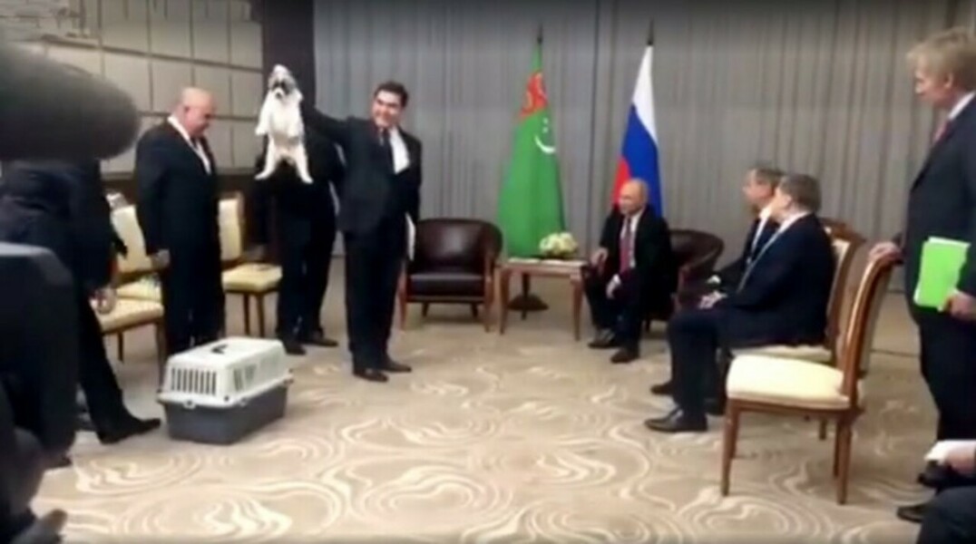 Собака станет третьим питомцем в доме президента РФ
