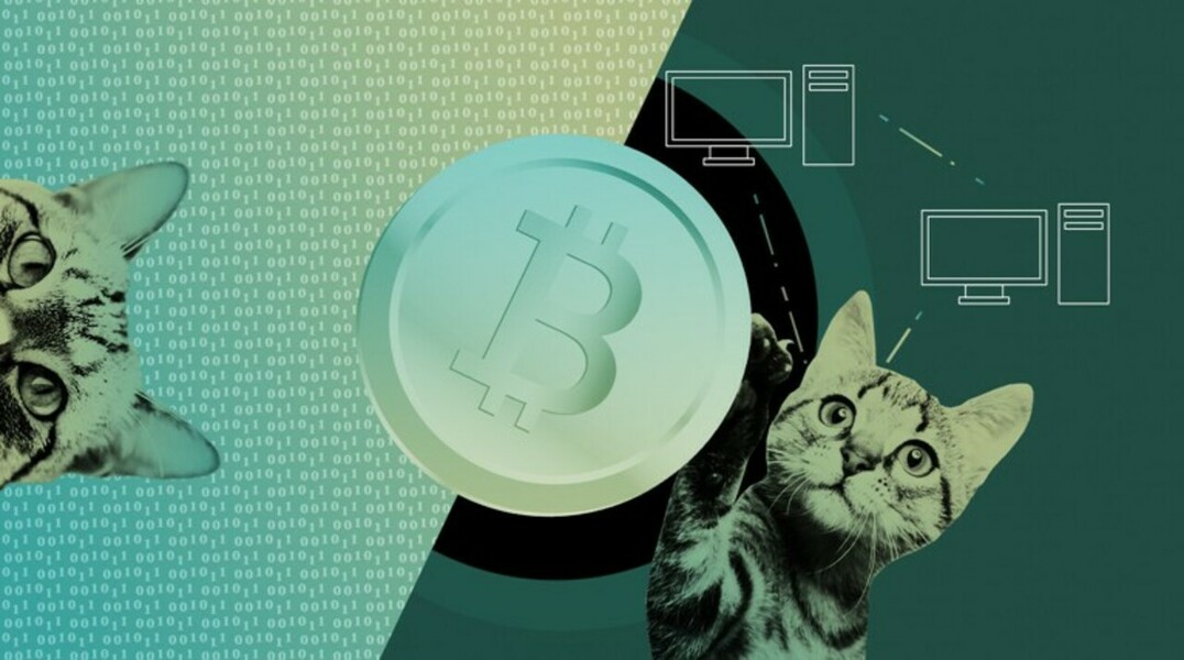Азбука криптовалюты — Daily Storm