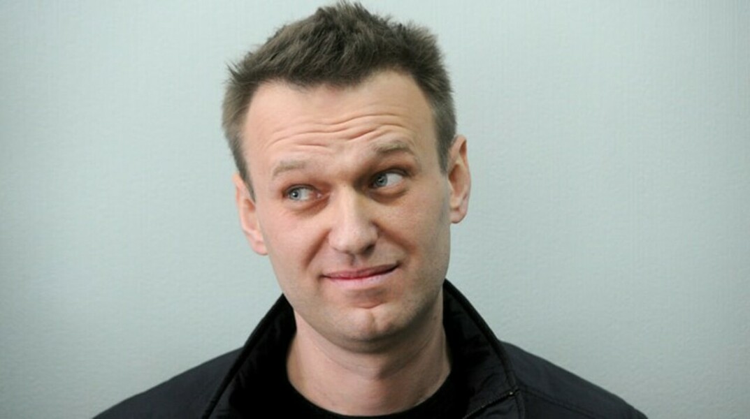 Навальный продолжил спор с Памфиловой о доходах — Daily Storm
