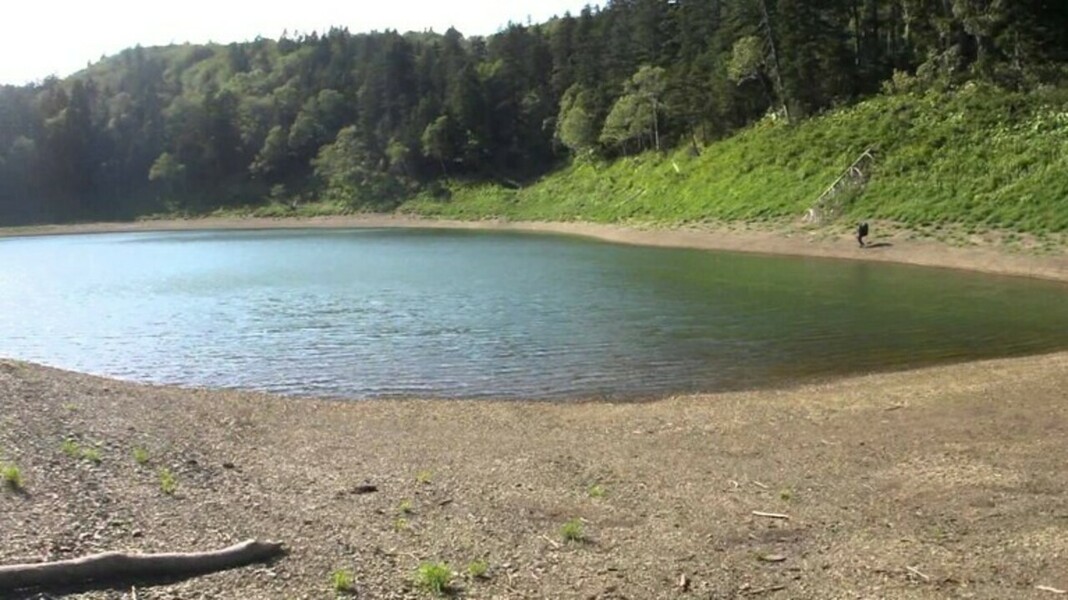 Мальчик ушел под воду, отец пытался спасти его