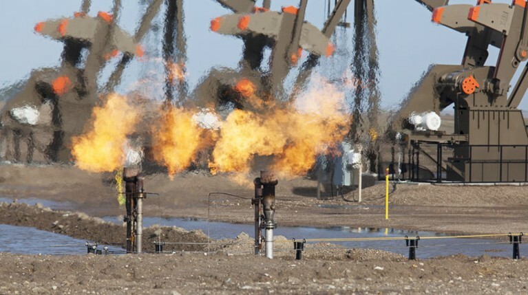 Российские заповедники могут оказаться под угрозой из-за сланцевой нефти — Daily Storm