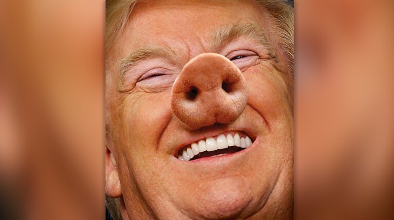 «Проблема в коррупции», пишет New York Magazine, как бы намекая, что рыльце в пушку у самого американского президента