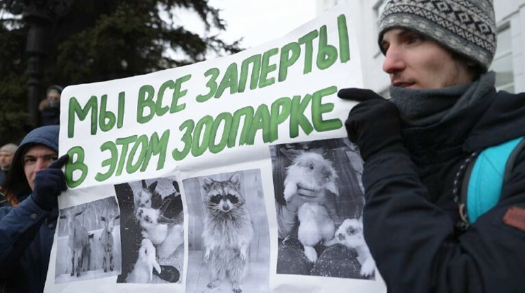 Кемеровский суд разрешил провести митинг против Тулеева — Daily Storm