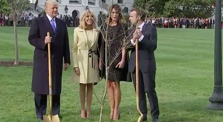 Макрон и Трамп посадили дуб как символ отношений США и Франции — Daily Storm