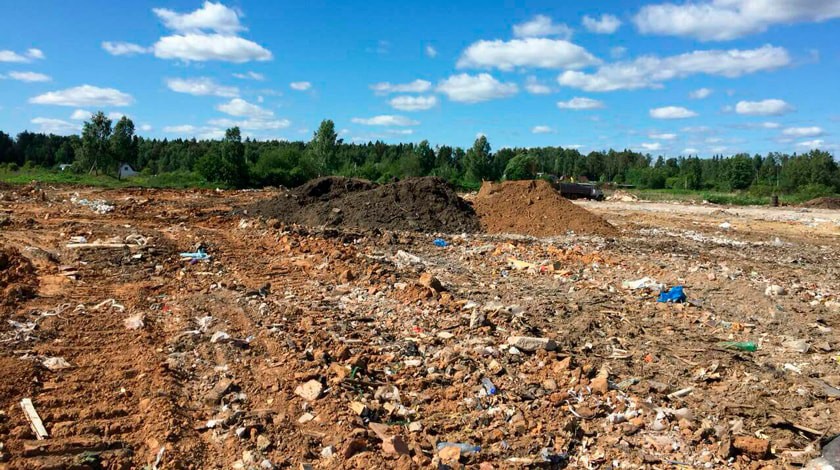 Свалка находится на месте леса