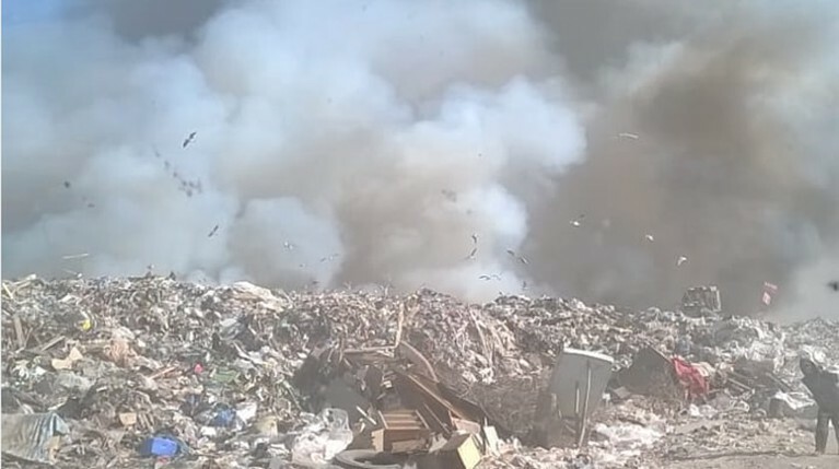 Жители Подмосковья пожаловались на запах от горящего полигона «Непейно» — Daily Storm