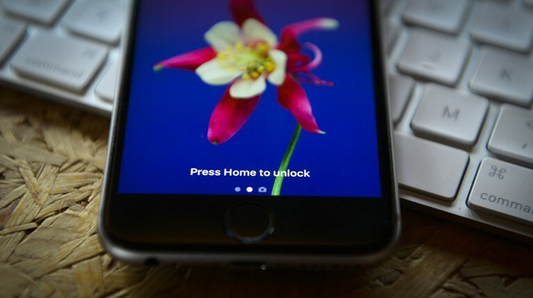 В России планируют ввести налог на «серые» смартфоны — Daily Storm