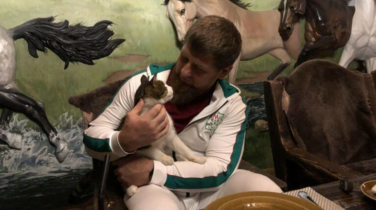 Глава Чечни забрал к себе питомца на открытии приюта для бездомных животных в Грозном в 2016 году