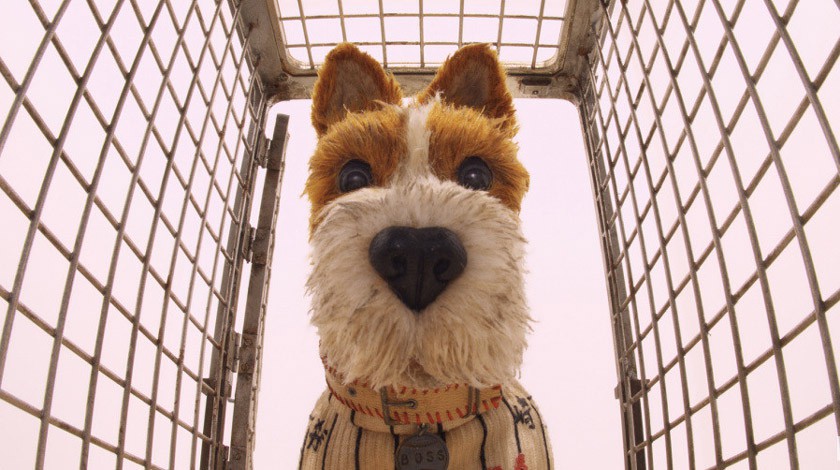 Кадр из фильма Isle of Dogs