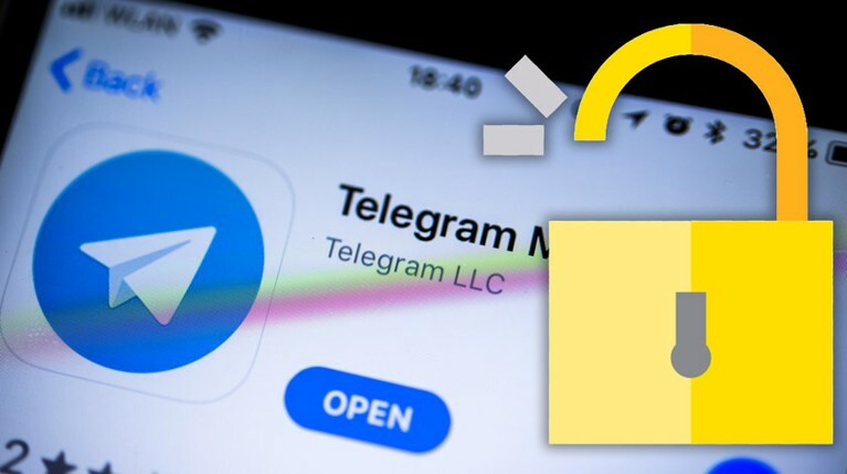 Telegram согласился раскрывать IP-адреса и телефоны подозреваемых в терроризме — Daily Storm