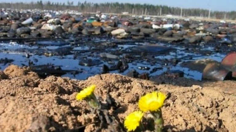 Токсичные отходы угрожают петербуржцам: Патрушев призвал разобраться с «Красным Бором» — Daily Storm