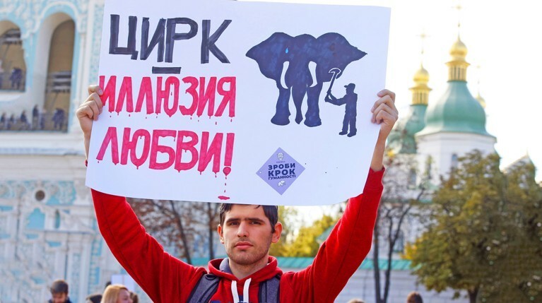 Убийства животных под куполом цирка — Daily Storm