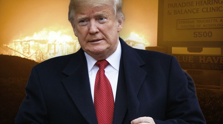 Трамп объявил лесные пожары в Калифорнии «крупной катастрофой» — Daily Storm