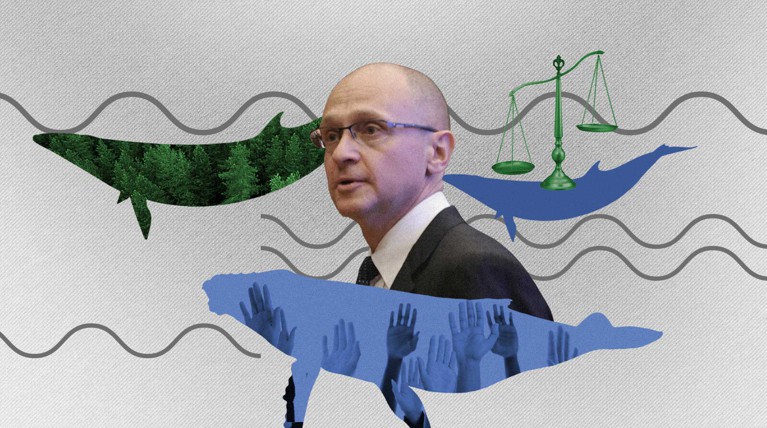 Экология, волонтерство и социальная справедливость: администрация президента обозначила политические тренды 2019 года — Daily Storm
