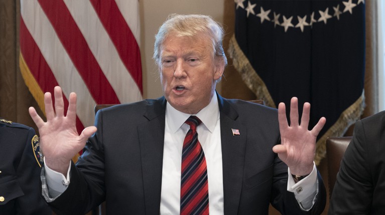 Трамп раскрыл свои планы по выводу войск США из Сирии — Daily Storm