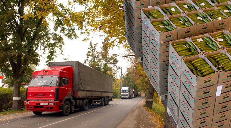 Бизнес предупредил об угрозе перебоев с поставками продуктов в Москву — Daily Storm