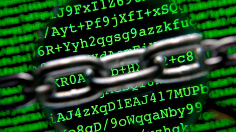 Путин заявил, что Россия должна быть готова к отключению от интернета — Daily Storm