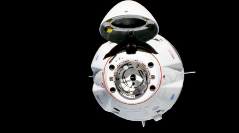 Космический корабль Dragon-2 пристыковался к МКС — Daily Storm