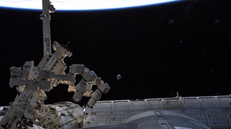 NASA опубликовало видео стыковки Dragon-2 с МКС — Daily Storm