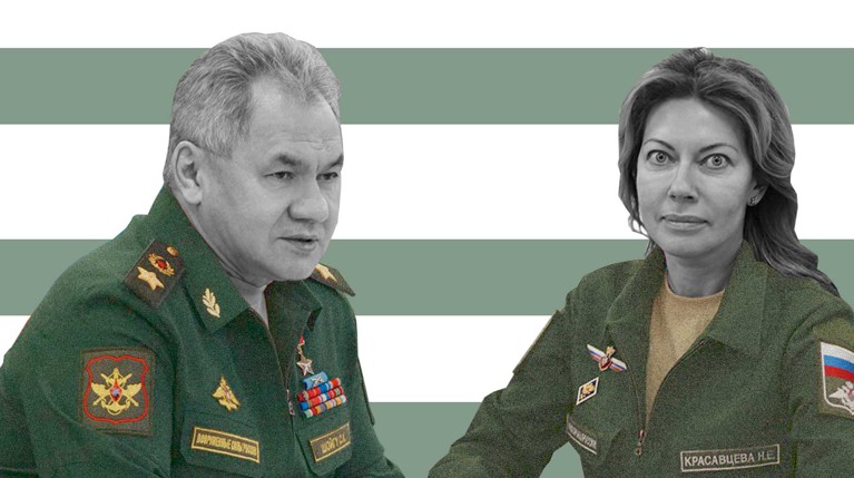 Шойгу попросили проверить деятельность «новой Васильевой» из Минобороны — Daily Storm