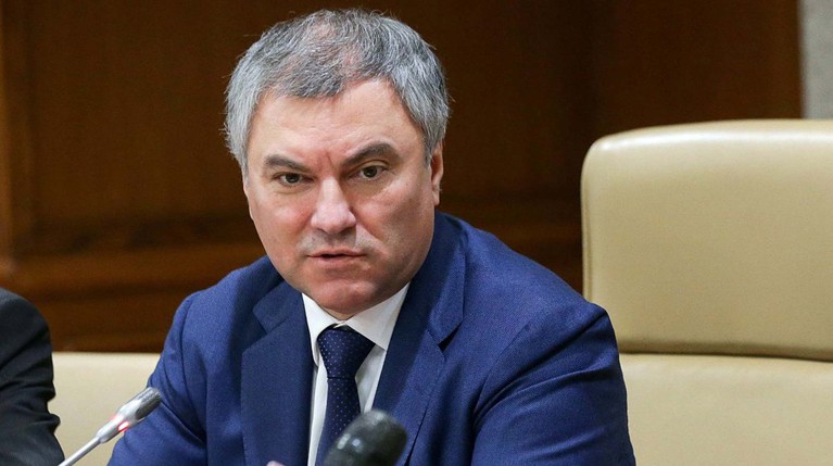 Володин: Недопустимо пренебрегать безопасностью и здоровьем детей ради экономической выгоды — Daily Storm