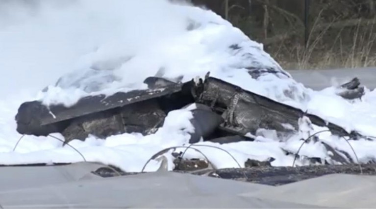 Погибшей в авиакатастрофе в Германии оказалась супруга владельца S7 — Daily Storm