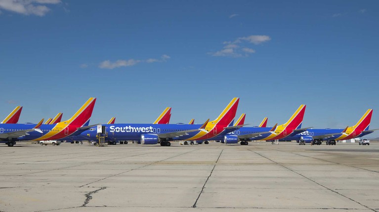 СМИ: Эфиопский Boeing MAX потерпел крушение из-за птицы — Daily Storm
