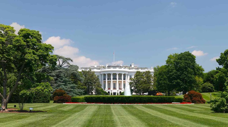 Белый дом отказался показать демократам налоговые декларации Трампа — Daily Storm