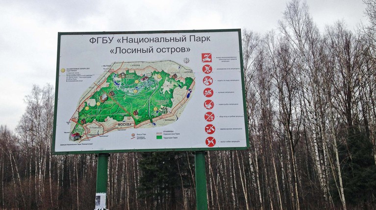 Последствия пожара в национальном парке «Лосиный Остров» в Москве — видео — Daily Storm