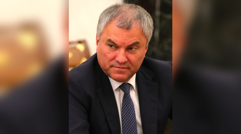 Володин считает, что результат выборов в Европарламент говорит о недовольстве граждан работой политиков — Daily Storm