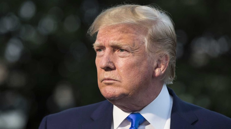 Трамп призвал Россию, Сирию и Иран прекратить «бойню» в Идлибе — Daily Storm