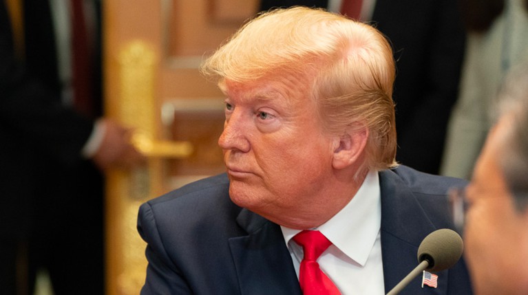 Трампа высмеяли за слова о захваченных в XVIII веке аэропортах — Daily Storm