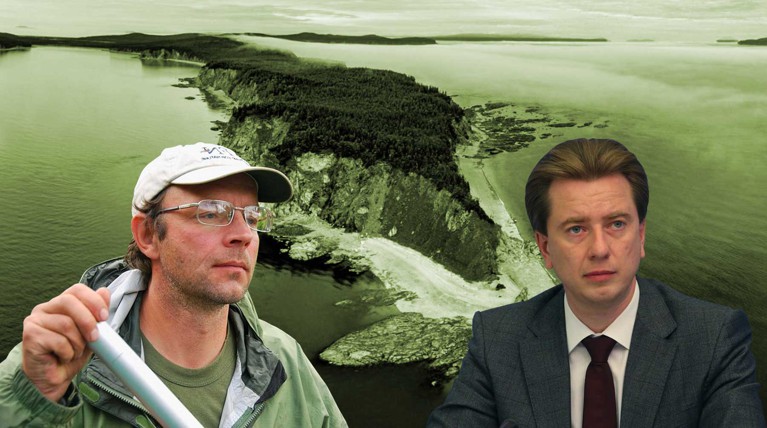Экологическая дезинформация: кто и как скрывает данные о косатках и белухах в Приморье — Daily Storm
