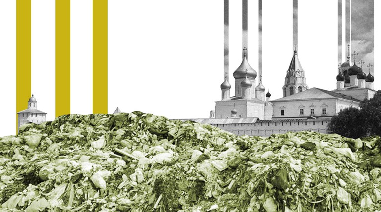 В четверг, 11 июля, пройдет митинг против строительства полигонов в непосредственной близости от озера Плещеево Коллаж: © Daily Storm