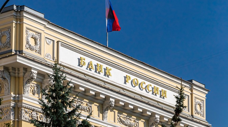 С начала года она увеличилась на 27,7 миллиарда долларов, сообщил Банк России © GLOBAL LOOK press / ALEXEY BYCHKOV