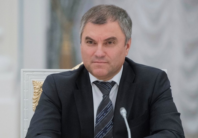 Госдума обсудила с председателем правительства актуальные законопроекты
