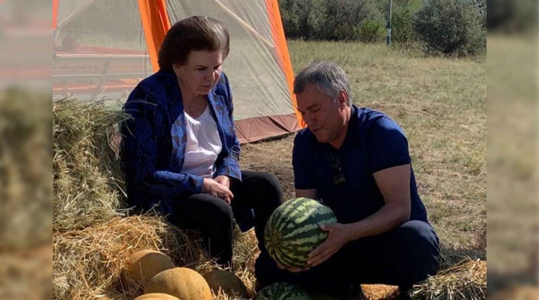 Спикер Госдумы и первая женщина-космонавт обсудили создание исторического парка Фото: © instagram / @volodin.saratov
