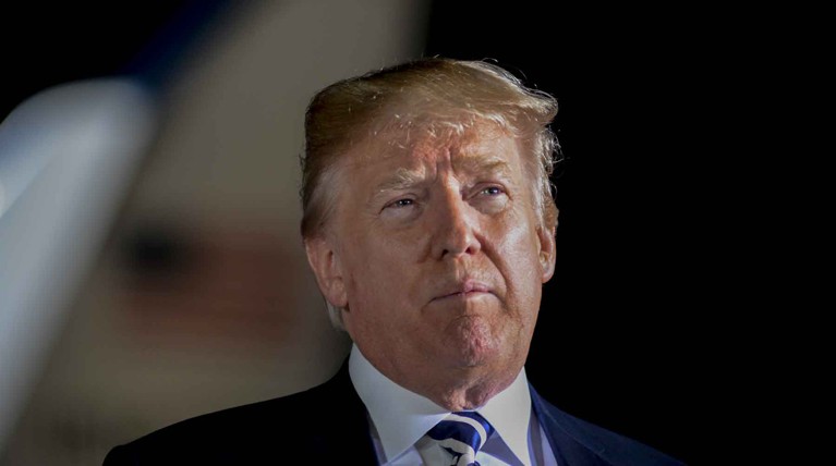 Трамп переехал из Нью-Йорка во Флориду из-за плохого отношения местных властей — Daily Storm