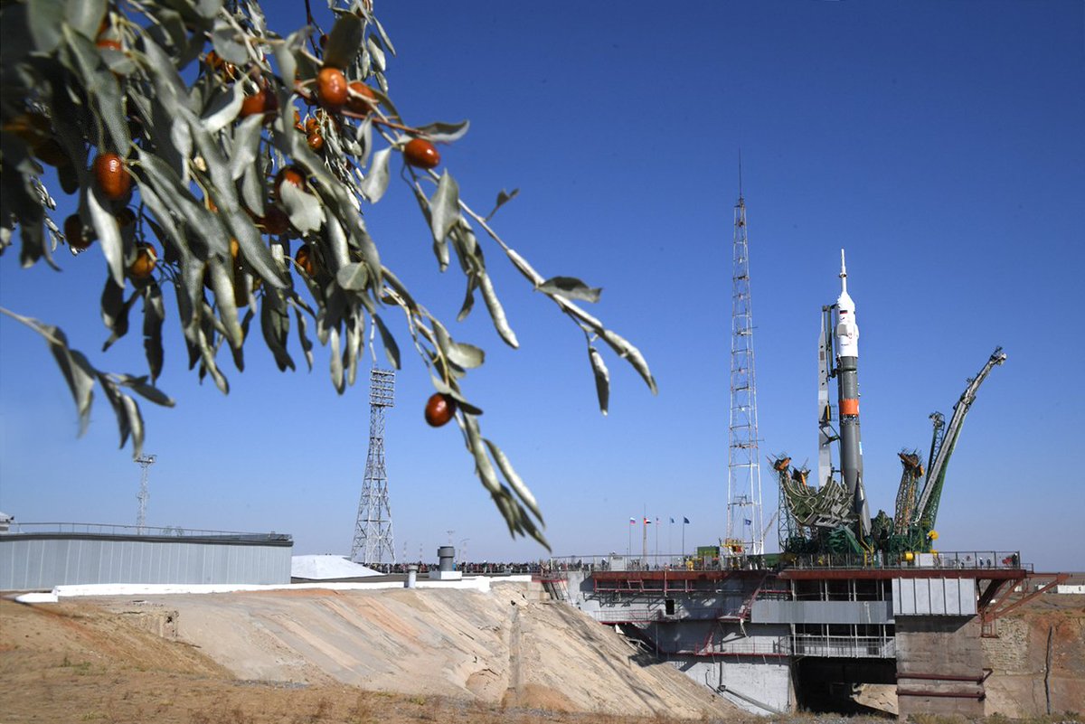 Уменьшение арендной платы при этом не подразумевается Фото: © GLOBAL LOOK press / Roscosmos
