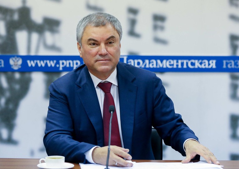 Володин допустил перенос второго чтения поправок к Конституции РФ — Daily Storm