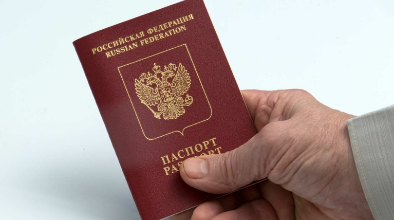 В ДНР единственным государственным языком признан русский — Daily Storm