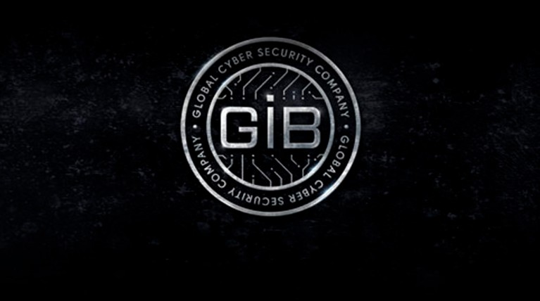 В Group-IB отвергли обвинения США в адрес топ-менеджера в продаже украденных данных пользователей — Daily Storm