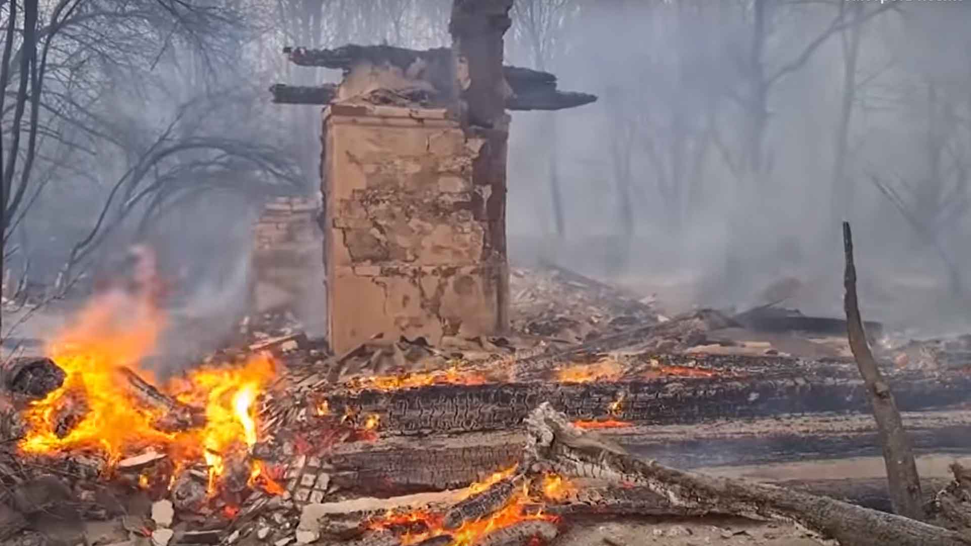 Мужчина признался, что бросил спичку ради забавы Скриншот: © Daily Storm