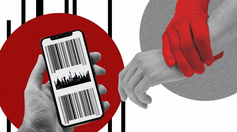 Что случится, если купить цифровой пропуск в Telegram? Cпойлер: в лучшем случае у вас украдут персональные данные — Daily Storm