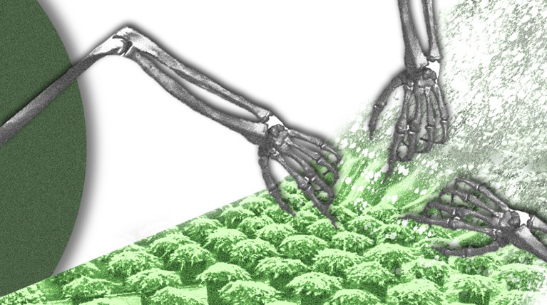 Рассада в «правовой яме»: саженцы в питомниках погибнут, если власти не снимут запрет на их реализацию — Daily Storm